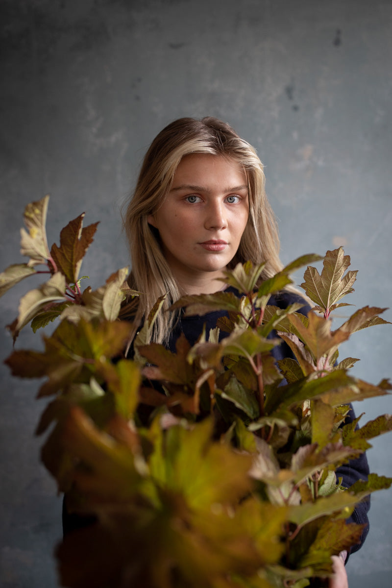 A Beautiful Flower Shop In Carlton North Art Stems a-beautiful-flower-shop-in-carlton-north-art-stems